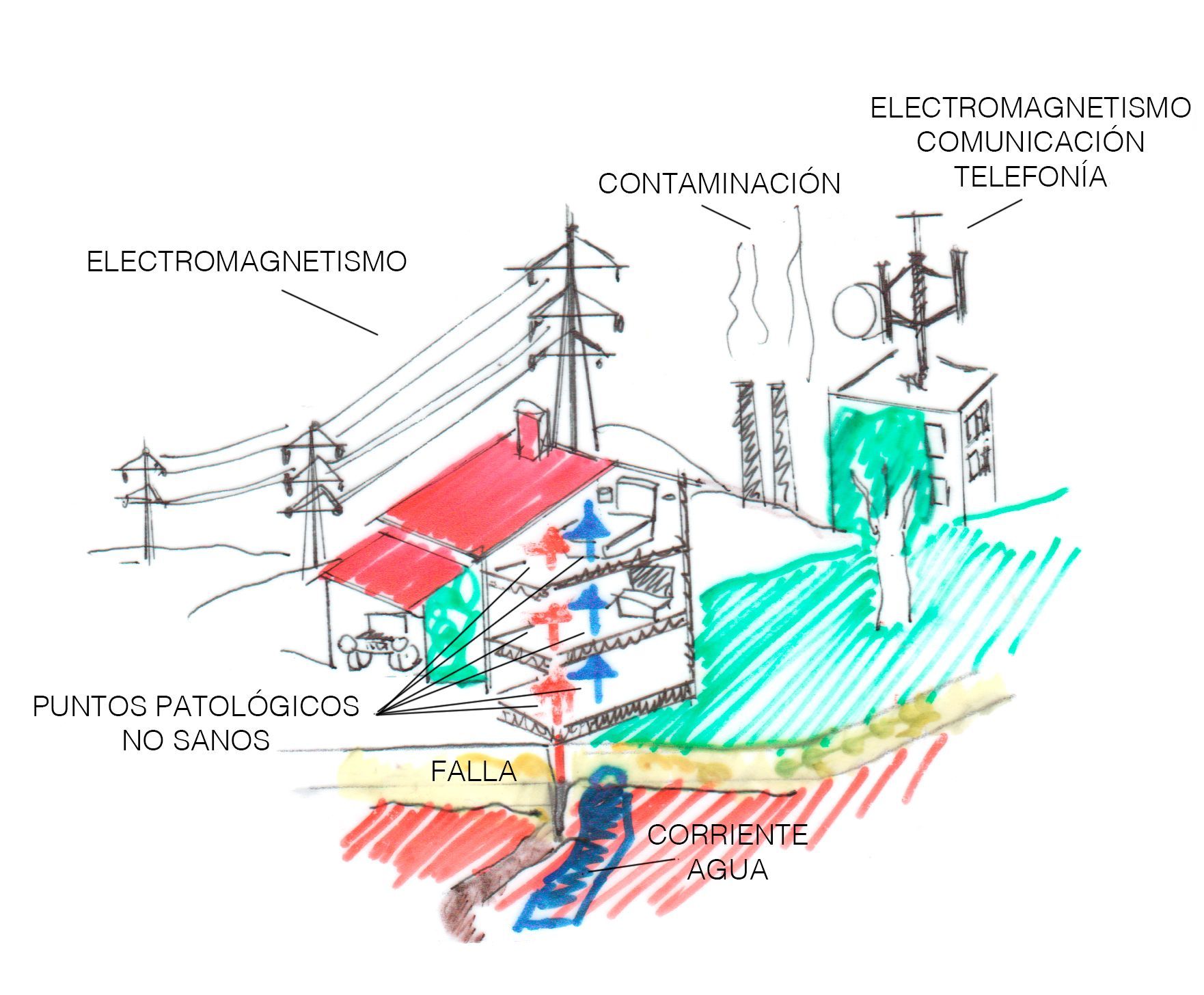 Salud Y Campos Electromagnéticos